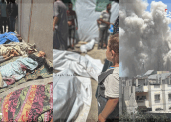 مجزرة جديدة بحق عشرات الشهداء يرتكبها جيش الاحتلال الاسرائيلي أثناء تخليص 4 محتجزين فقط