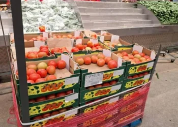 الاردن ترفض تصدير الخضار والفواكه إلى إسرائيل