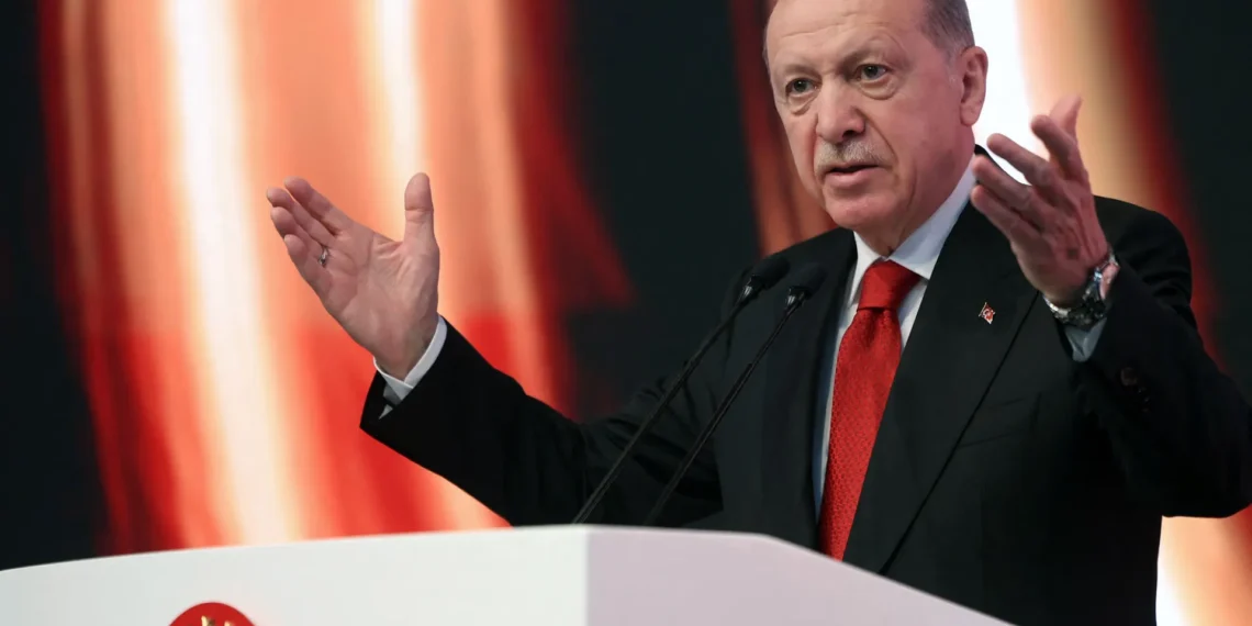 أردوغان يطالب الأمم المتحدة السماح باستخدام القوة ضد إسرائيل