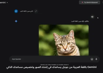 صورة توضيحية لميزات Gemini من جوجل باللغة العربية، مع أدوات تخصيص للمساعد الذكي وتوليد الصور