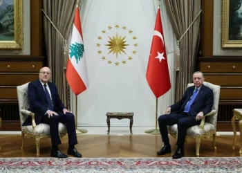 تركيا ولبنان: رؤية مشتركة لتحقيق الاستقرار في سوريا والمنطقة