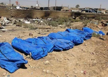 الدفاع المدني السوري: تحديات المقابر الجماعية ونزع الألغام في مرحلة ما بعد الأسد