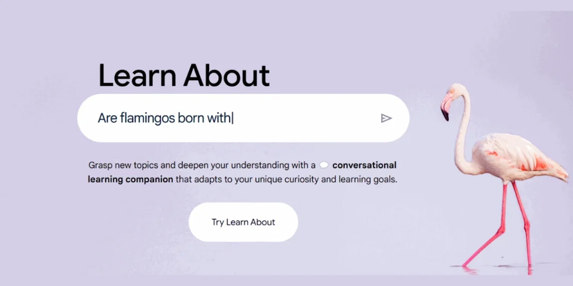 صورة توضح واجهة منصة "Learn About" من جوجل التي تستخدم الذكاء الاصطناعي لتحسين تجربة التعليم والتعلم التفاعلي