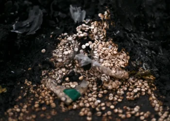 اكتشاف مفاجئ داخل المربع الأمني للنظام السوري المخلوع في كفرسوسة