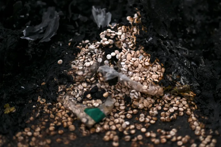 اكتشاف مفاجئ داخل المربع الأمني للنظام السوري المخلوع في كفرسوسة