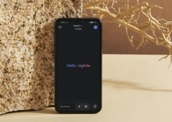 صورة تعبيرية عن حذف نشاطك وإعداد الخصوصية مع Gemini.