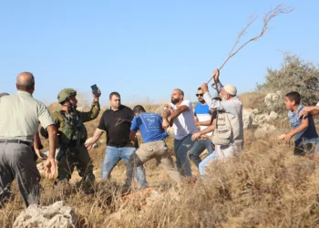 تصعيد خطير مستوطنون يقتحمون الخليل وجيش الاحتلال يهجر عائلات من جنين