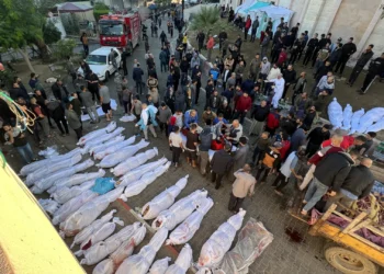 إبادة جماعية في غزة.. والعالم يشاهد من بعيد