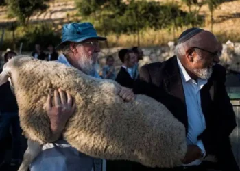 دعوات لذبح قرابين في الأقصى... استفزاز جديد يُشعل الغضب الفلسطيني