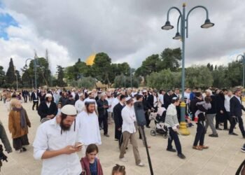 اقتحامات غير مسبوقة للأقصى: أعداد المستوطنين تتضاعف في عيد الفصح