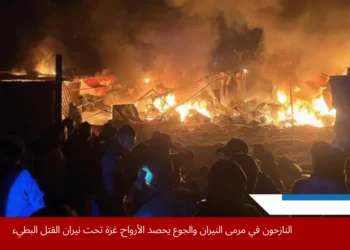 غارات جوية إسرائيلية تضرب خيام نازحين في منطقة المواصي غرب خان يونس جنوب قطاع غزة، وفقًا لمصادر إعلامية وشهود عيان عبر مواقع التواصل.