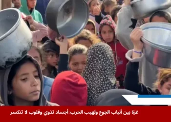 أطفال من غزة يعانون من الجوع وسوء التغذية وسط تداعيات الحصار الإسرائيلي، في مشهد يلخص معاناة المدنيين تحت نيران الحرب