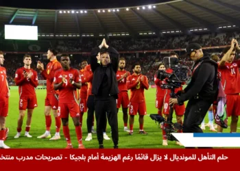 صورة توضح روح المودة والتقدير بين لاعبين منتخب ويلز والمشجعين