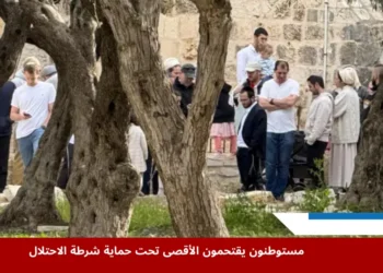 مستوطنون يؤدون طقوسًا داخل باحات الأقصى بحماية شرطة الاحتلال الإسرائيلي وسط أشجار الزيتون بالقدس المحتلة