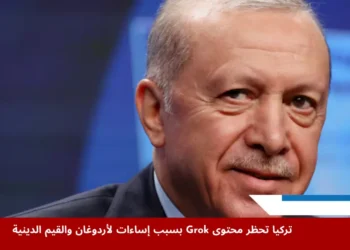 محكمة تركية تصدر قرارًا بحظر محتوى Grok بعد إساءات للرئيس أردوغان والقيم الدينية