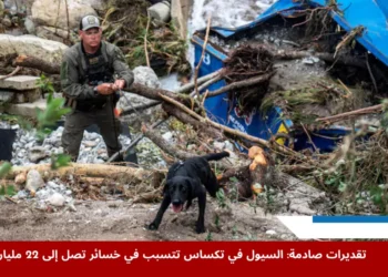 كلب إنقاذ يفتش منطقة داخل مخيم ميستيك في تكساس بعد السيول