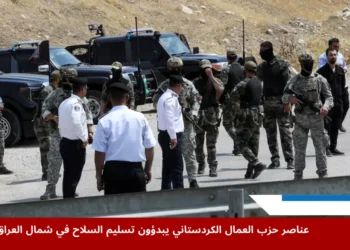 عناصر حزب العمال الكردستاني يبدؤون تسليم السلاح في شمال العراق