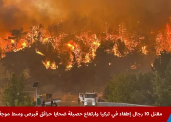 رجال الإطفاء في تركيا يواجهون حريق غابات هائل يلتهم الأشجار على تل مرتفع في إسكي شهر وسط دخان كثيف وألسنة لهب متصاعدة.