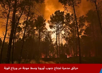 رجال إطفاء يكافحون حرائق الغابات في جنوب أوروبا وسط موجة حر ورياح قوية تؤجج النيران