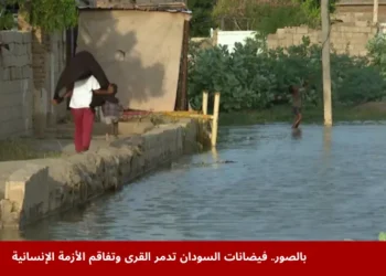 صورة توضح آثار فيضانات السودان في ولاية الجزيرة حيث دمرت المزارع والممتلكات وأثرت على آلاف الأسر