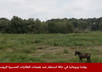خيول ترعى في منطقة بلاورو برومانيا قرب الحدود مع أوكرانيا حيث تم رصد الطائرات المسيرة الروسية